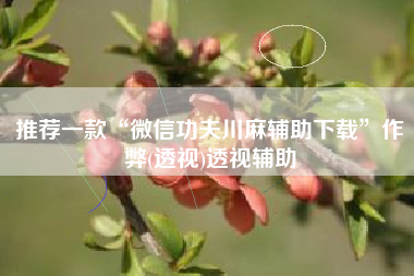 推荐一款“微信功夫川麻辅助下载	”作弊(透视)透视辅助