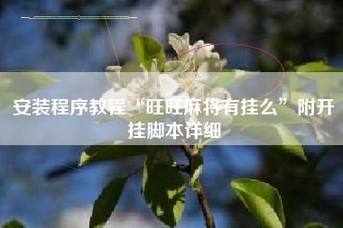 安装程序教程“旺旺麻将有挂么”附开挂脚本详细