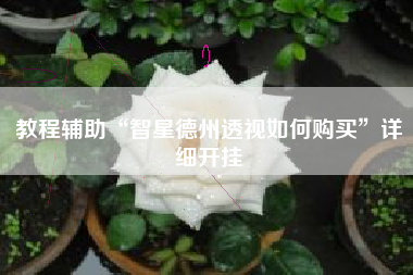 教程辅助“智星德州透视如何购买”详细开挂