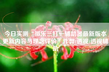 今日实测“微乐三打一辅助器最新版本更新内容与理念评价”作弊(透视)透视辅助