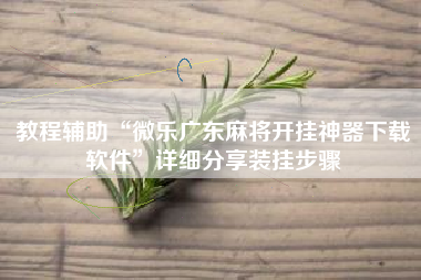 教程辅助“微乐广东麻将开挂神器下载软件	”详细分享装挂步骤