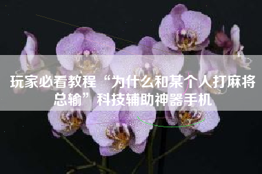 玩家必看教程“为什么和某个人打麻将总输	”科技辅助神器手机