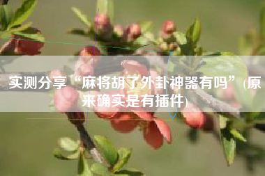 实测分享“麻将胡了外卦神器有吗”(原来确实是有插件)