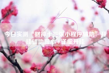 今日实测“财神十三张小程序辅助	”开挂辅助脚本+详细开挂