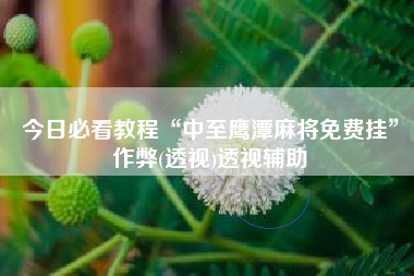 今日必看教程“中至鹰潭麻将免费挂	”作弊(透视)透视辅助