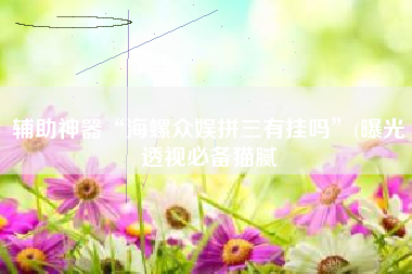 辅助神器“海螺众娱拼三有挂吗	”(曝光透视必备猫腻