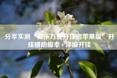 分享实测“微乐万能开挂器苹果版”开挂辅助脚本+详细开挂
