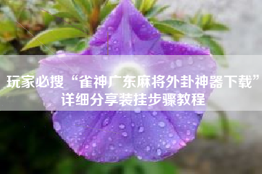 玩家必搜“雀神广东麻将外卦神器下载”详细分享装挂步骤教程