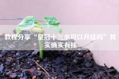 教程分享“皇冠十三水可以开挂吗	”其实确实有挂