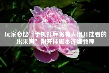 玩家必搜“手机打麻将有人用开挂看的出来吗”附开挂脚本详细教程