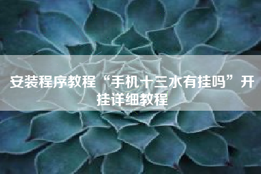 安装程序教程“手机十三水有挂吗”开挂详细教程