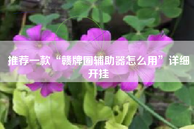 推荐一款“赣牌圈辅助器怎么用”详细开挂