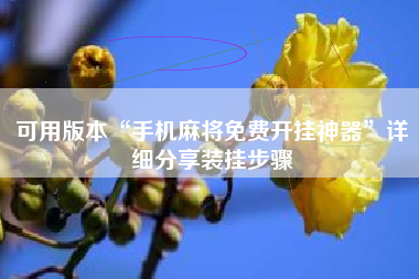 可用版本“手机麻将免费开挂神器	”详细分享装挂步骤