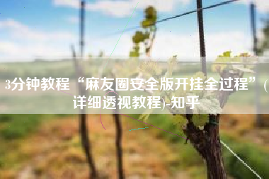 3分钟教程“麻友圈安全版开挂全过程	”(详细透视教程)-知乎