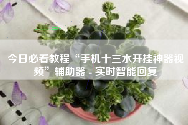 今日必看教程“手机十三水开挂神器视频”辅助器 - 实时智能回复