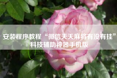 安装程序教程“微信天天麻将有没有挂”科技辅助神器手机版
