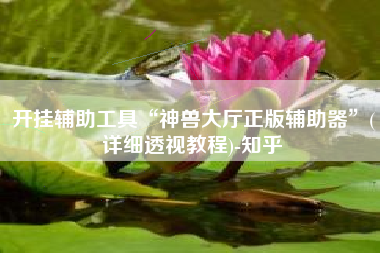 开挂辅助工具“神兽大厅正版辅助器”(详细透视教程)-知乎