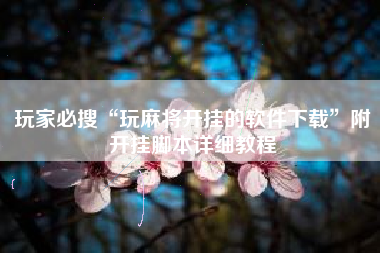 玩家必搜“玩麻将开挂的软件下载”附开挂脚本详细教程