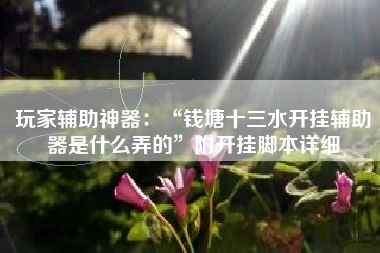 玩家辅助神器：“钱塘十三水开挂辅助器是什么弄的”附开挂脚本详细