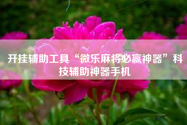 开挂辅助工具“微乐麻将必赢神器”科技辅助神器手机