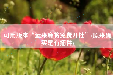 可用版本“运来麻将免费开挂”(原来确实是有插件)