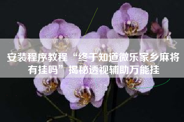 安装程序教程“终于知道微乐家乡麻将有挂吗”揭秘透视辅助万能挂