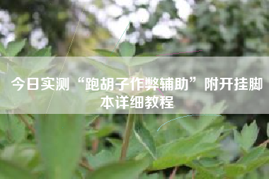 今日实测“跑胡子作弊辅助	”附开挂脚本详细教程