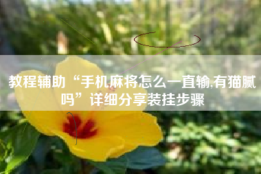 教程辅助“手机麻将怎么一直输,有猫腻吗”详细分享装挂步骤