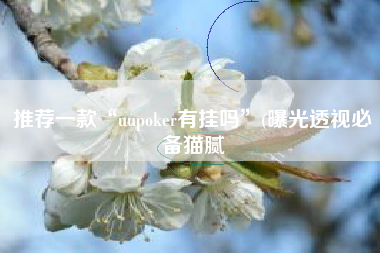 推荐一款“uupoker有挂吗	”(曝光透视必备猫腻