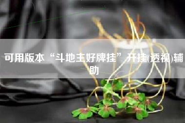 可用版本“斗地主好牌挂	”开挂(透视)辅助