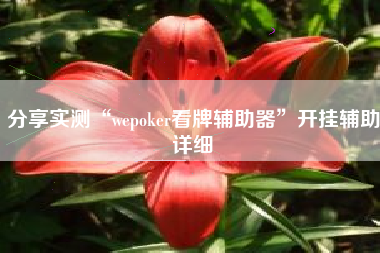 分享实测“wepoker看牌辅助器”开挂辅助详细