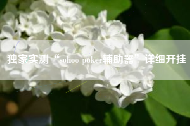 独家实测“sohoo poker辅助器”详细开挂