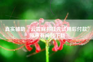 真实辅助“云霄麻将挂先试用后付款”原来有神器下载