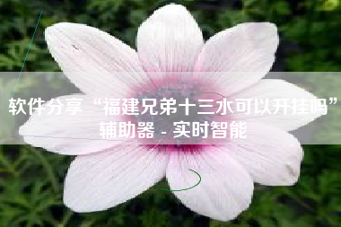 软件分享“福建兄弟十三水可以开挂吗	”辅助器 - 实时智能