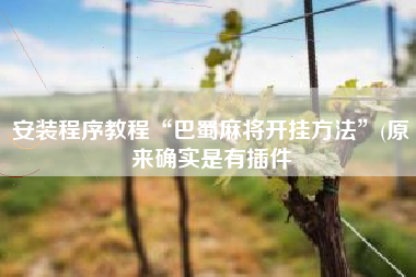 安装程序教程“巴蜀麻将开挂方法	”(原来确实是有插件