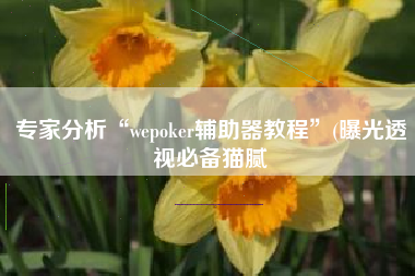 专家分析“wepoker辅助器教程	”(曝光透视必备猫腻