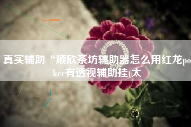 真实辅助“顺欣茶坊辅助器怎么用红龙poker有透视辅助挂(太