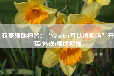 玩家辅助神器：“wepoker可以透视吗”开挂(透视)辅助教程