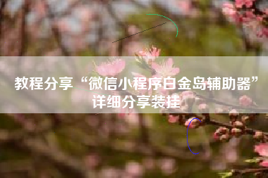 教程分享“微信小程序白金岛辅助器”详细分享装挂