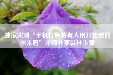 独家实测“手机打麻将有人用开挂看的出来吗”详细分享装挂步骤