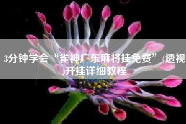 3分钟学会“雀神广东麻将挂免费	”(透视)开挂详细教程