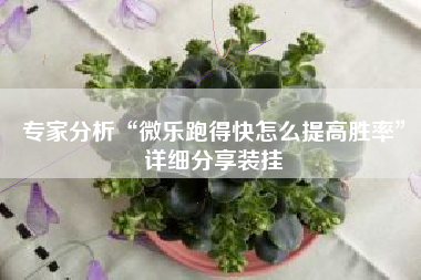 专家分析“微乐跑得快怎么提高胜率”详细分享装挂