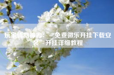 玩家辅助神器：“免费微乐开挂下载安装”开挂详细教程