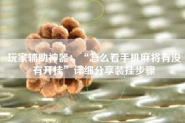 玩家辅助神器：“怎么看手机麻将有没有开挂”详细分享装挂步骤