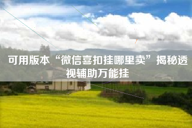 可用版本“微信喜扣挂哪里卖	”揭秘透视辅助万能挂