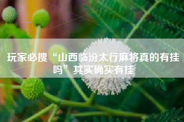 玩家必搜“山西临汾太行麻将真的有挂吗	”其实确实有挂