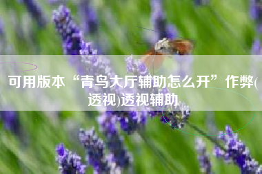 可用版本“青鸟大厅辅助怎么开	”作弊(透视)透视辅助