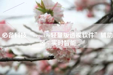 必备科技“wepoker轻量版透视软件”辅助器 - 实时智能