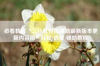 必看教程“二八杠开挂辅助最新版本更新内容图”开挂(透视)辅助教程