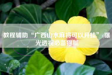 教程辅助“广西山水麻将可以开挂”(曝光透视必备猫腻